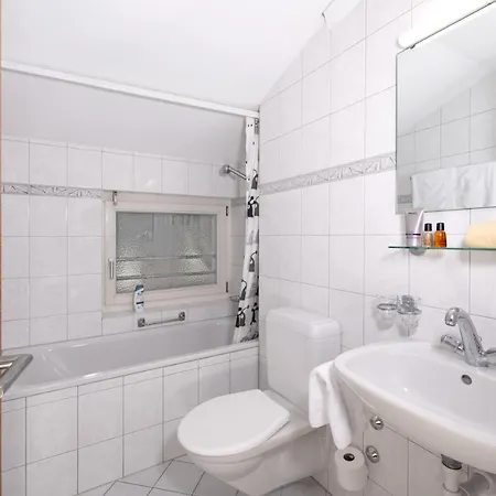 Apartment Mountain Nr 4