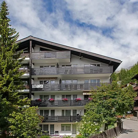 Mountain Nr 4 Zermatt